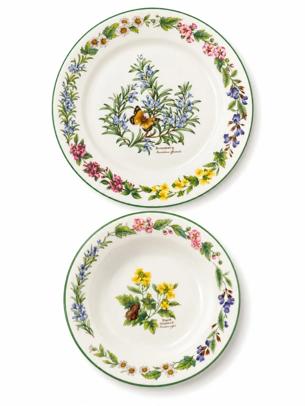 Royal Worcester Herbs Green Trim Botanical Plates Set of 2